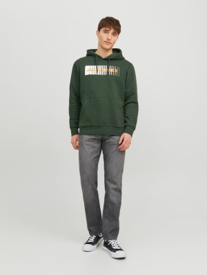 JJECORP LOGO SWEAT HOOD PLAY N 176243 Mountain