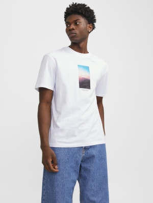 JORVESTERBRO PICTURE TEE SS CR 177627 Bright W