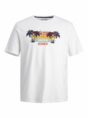 JJSUMMER VIBE TEE SS CREW NECK 178074 White