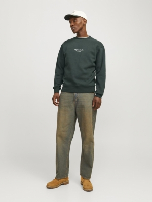 JORVESTERBRO SWEAT CREW NECK N 283237 Forest R