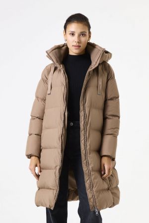 5425-winter tau